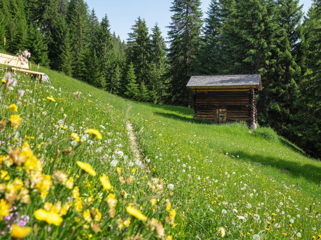 Gargellner-Fenster-Weg-Montafon-Tourismus-GmbH-Andreas-Haller-03.jpg