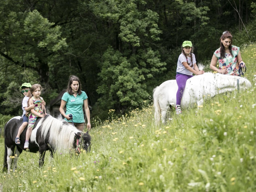 Kinder auf Ponys