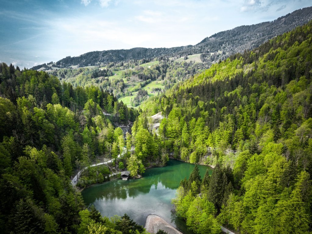 Bödele im Sommer erleben