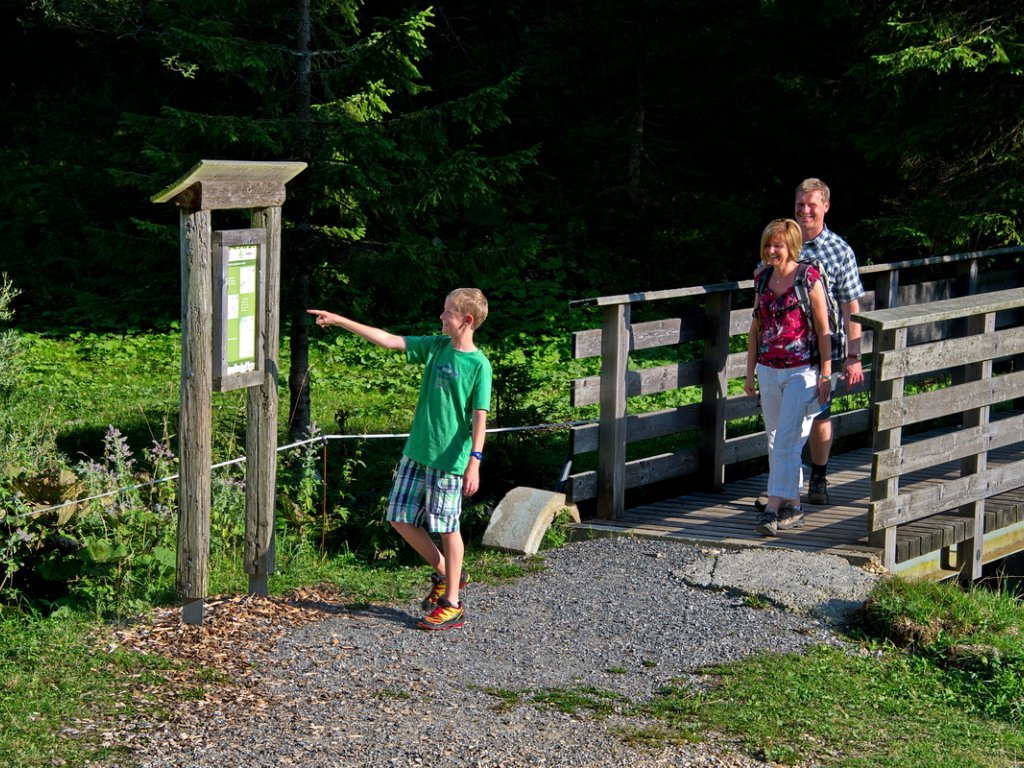 Hündle im Allgäu