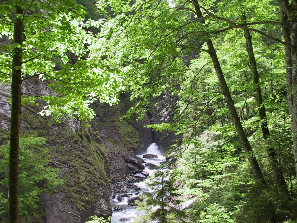 Naturwunderweg in Au-Schoppernau im Bregenzerwald