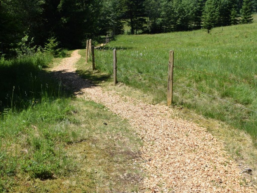 Tobelweg in Sibratsgfäll im Bregenzerwald 