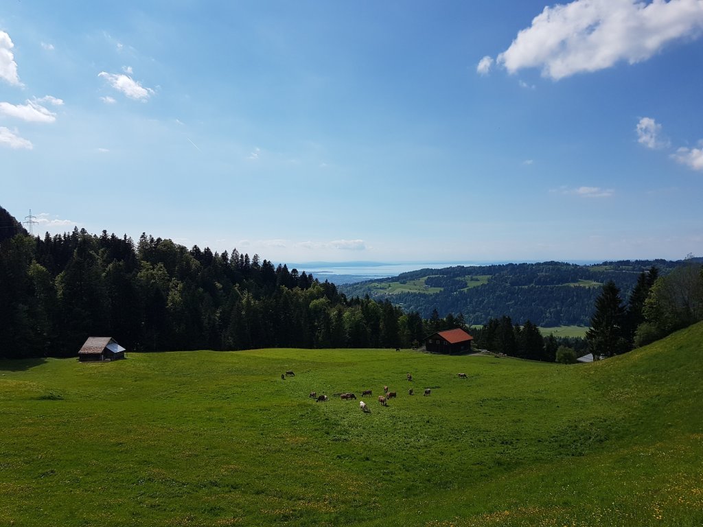 Greban unterhalb des Brüggelekopf