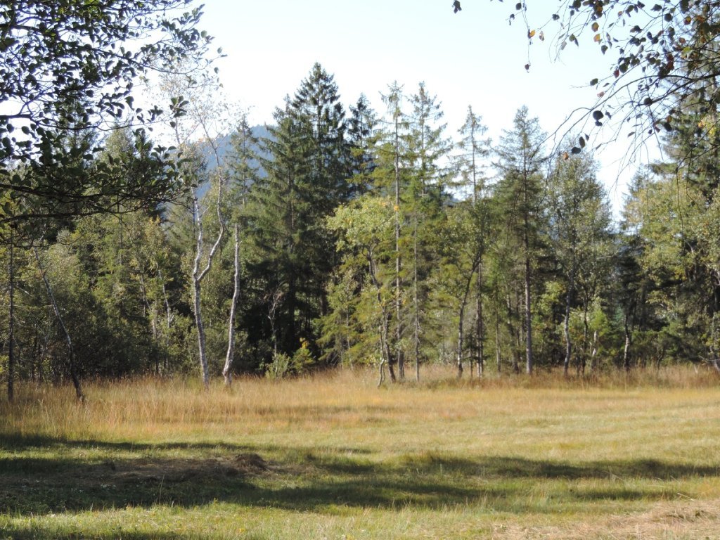 Naturschutzgebiet Nord Langenegg