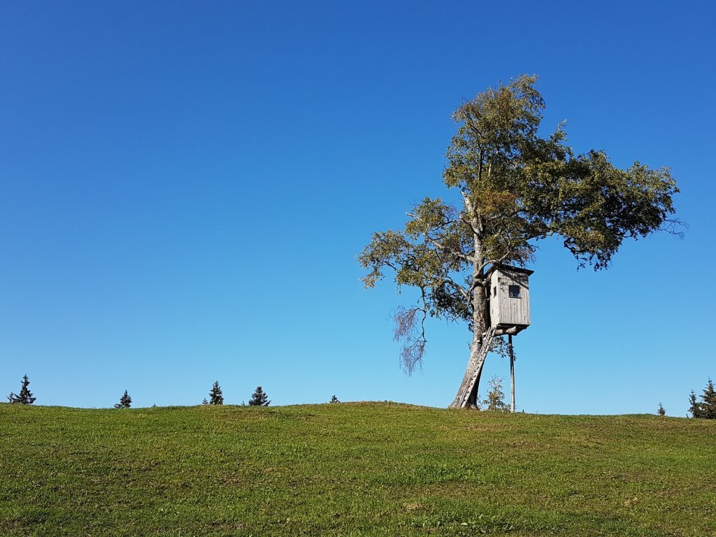 Musikwanderweg Brüggelekopf