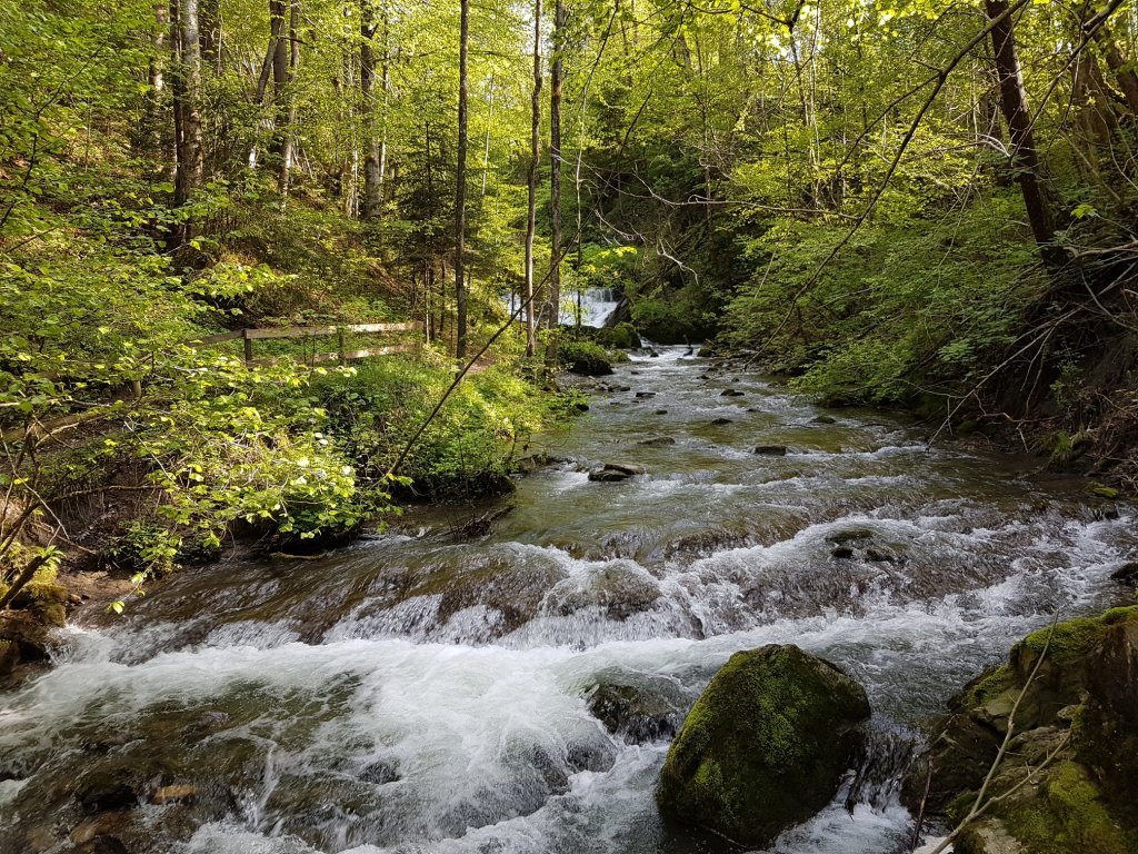 Brühlbach Wasserfall