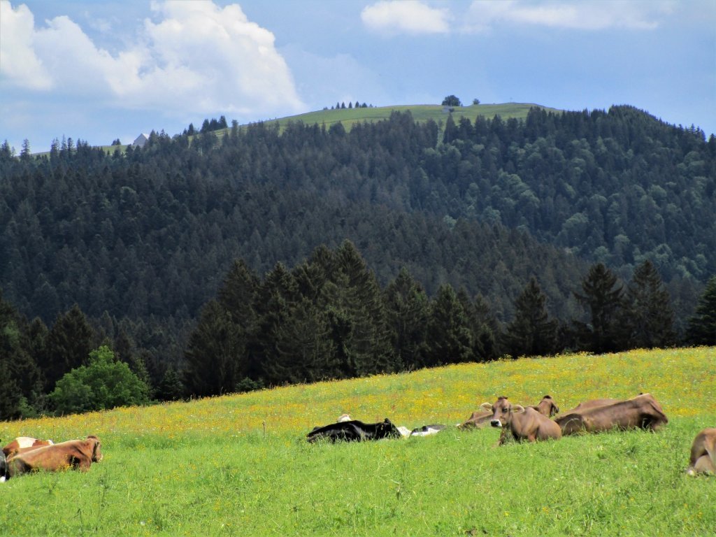 Zum Abschied noch ein Blick zurück auf den Hirschberg