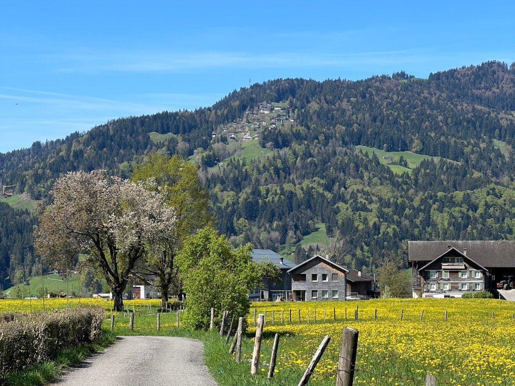 Lingenau im Frühling