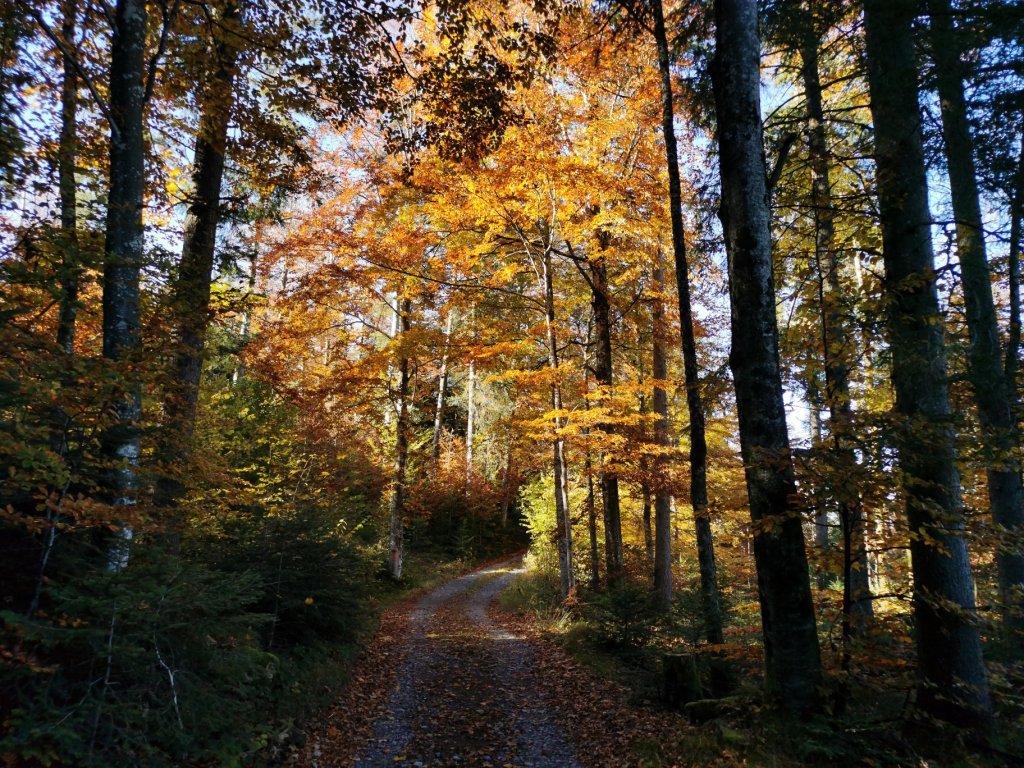 Bezegg in Richtung Klausberg