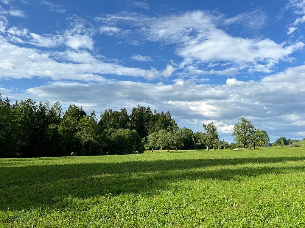 Naturschutzgebiet Nord