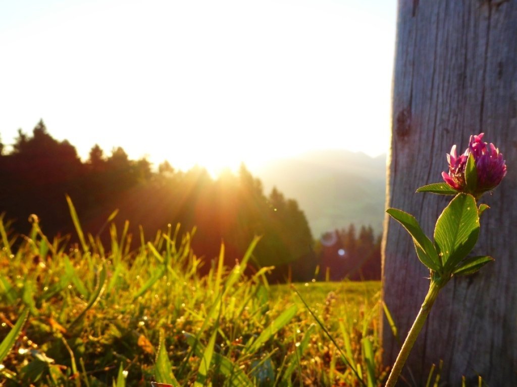 Sonnenaufgang am Brüggelekopf