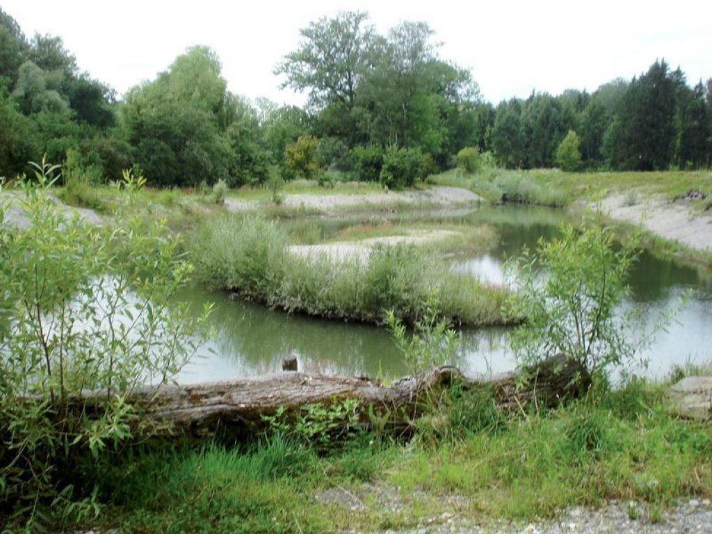 Naturnah gestaltete Landschaft