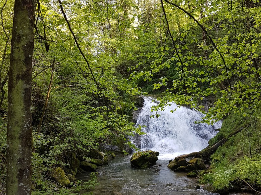 Brühlbach Wasserfall