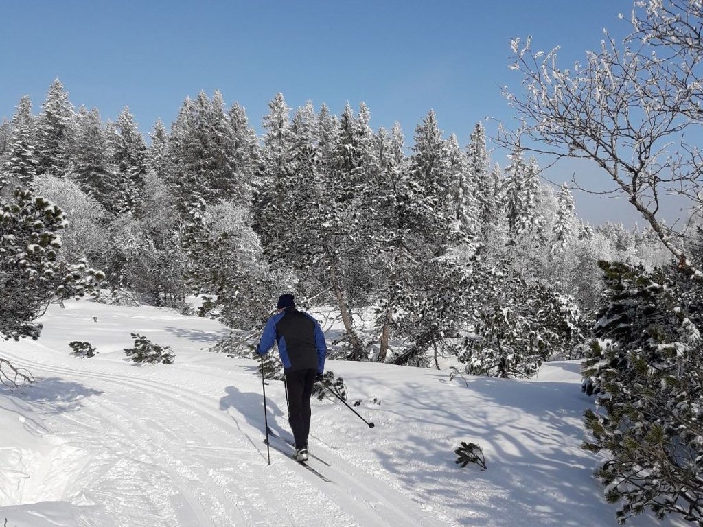 Schöne Loipe am Bödele