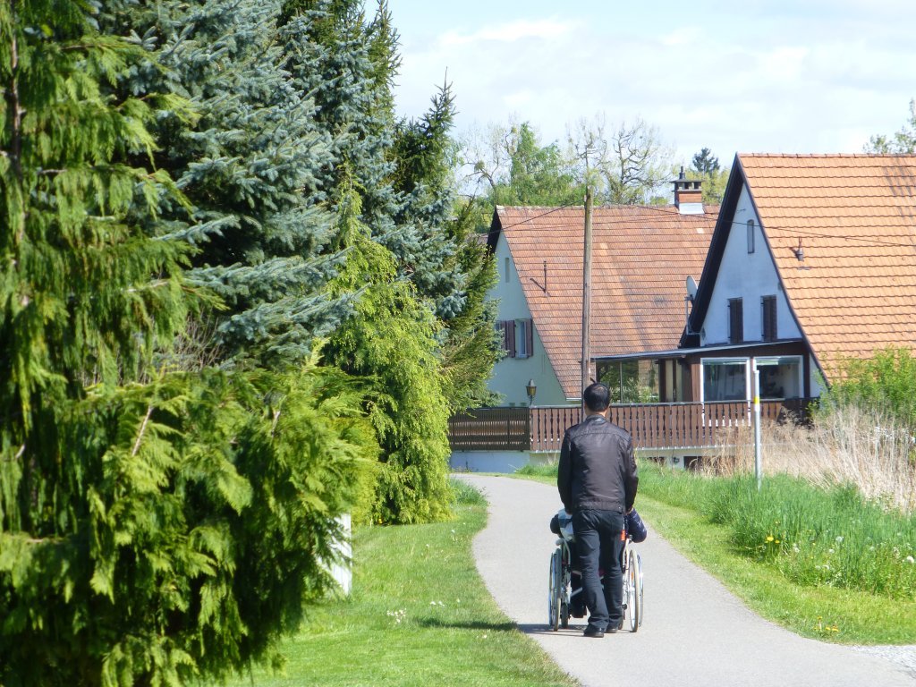 Rheinauweg in Gaißau