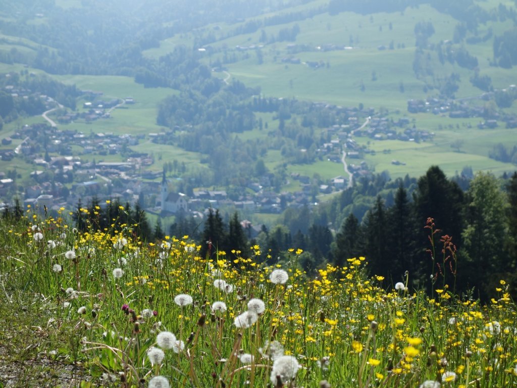 Blick auf Egg vom Kaltenbrunnen