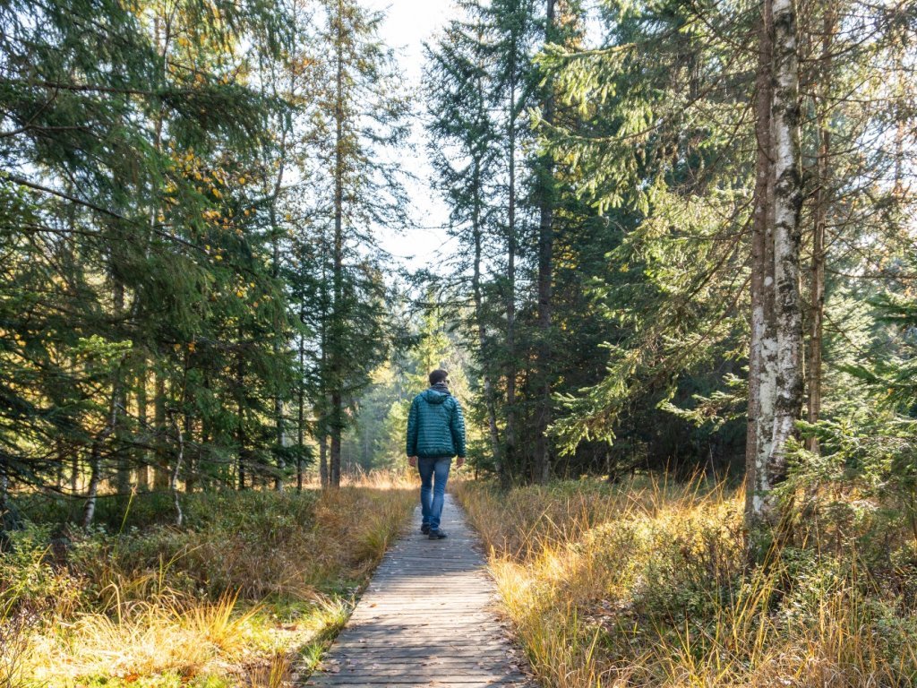 Steg durch das Hochmoor Fohramoos am Bödele