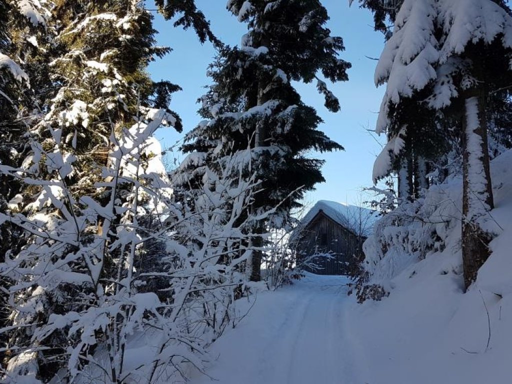 Winterwanderweg Alberschwende