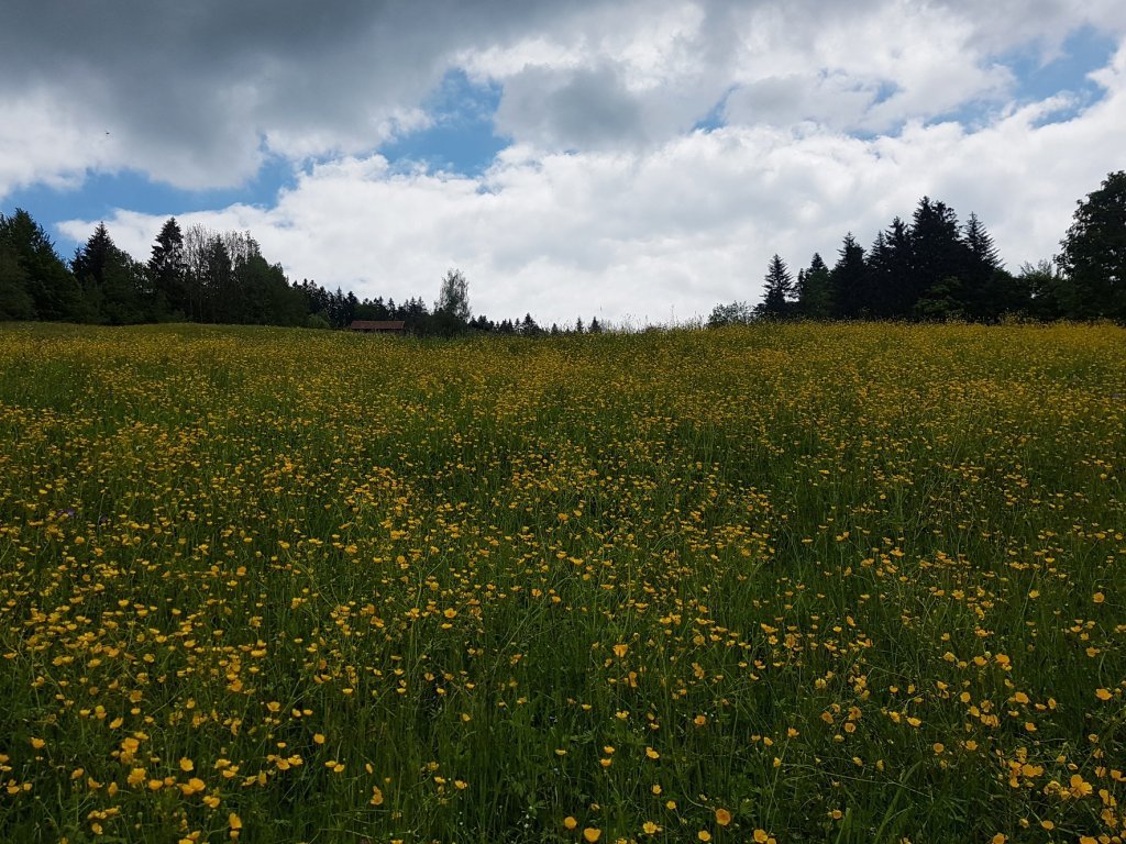 Auf dem Weg zum Brüggelekopf