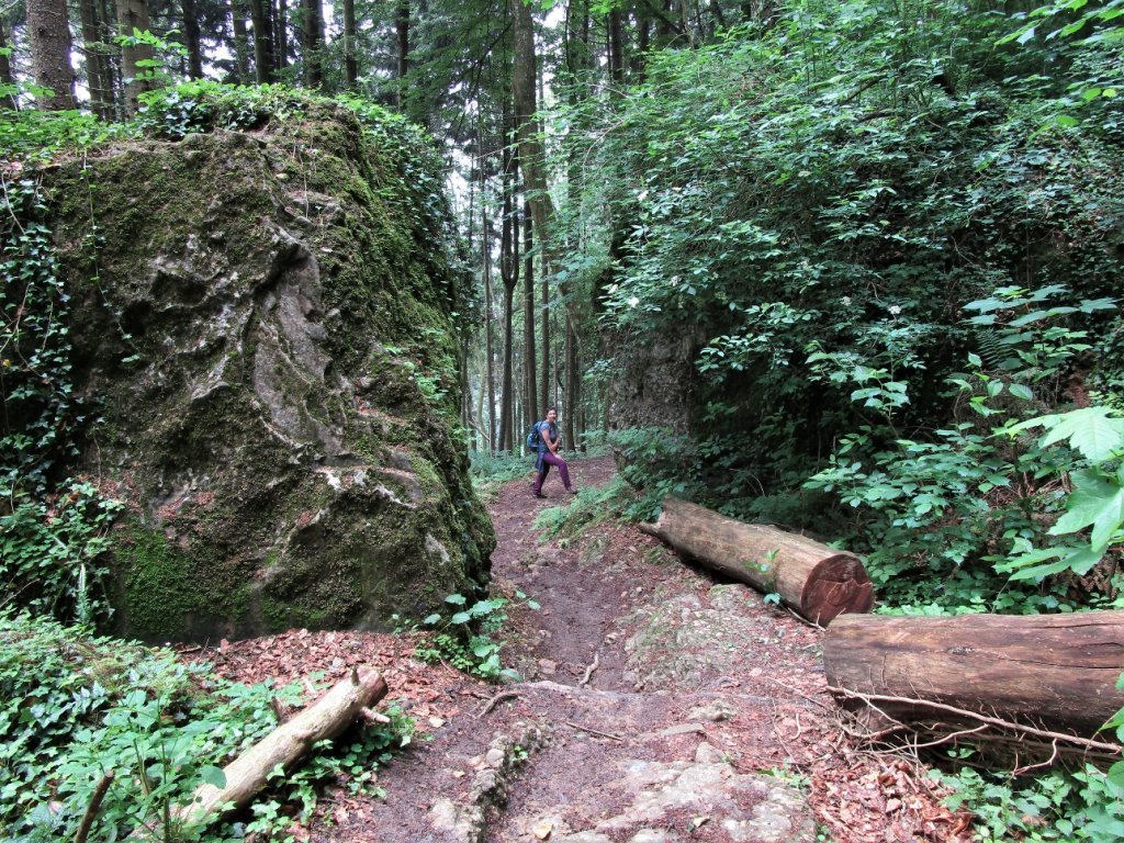 Talwanderung vom Pfänder