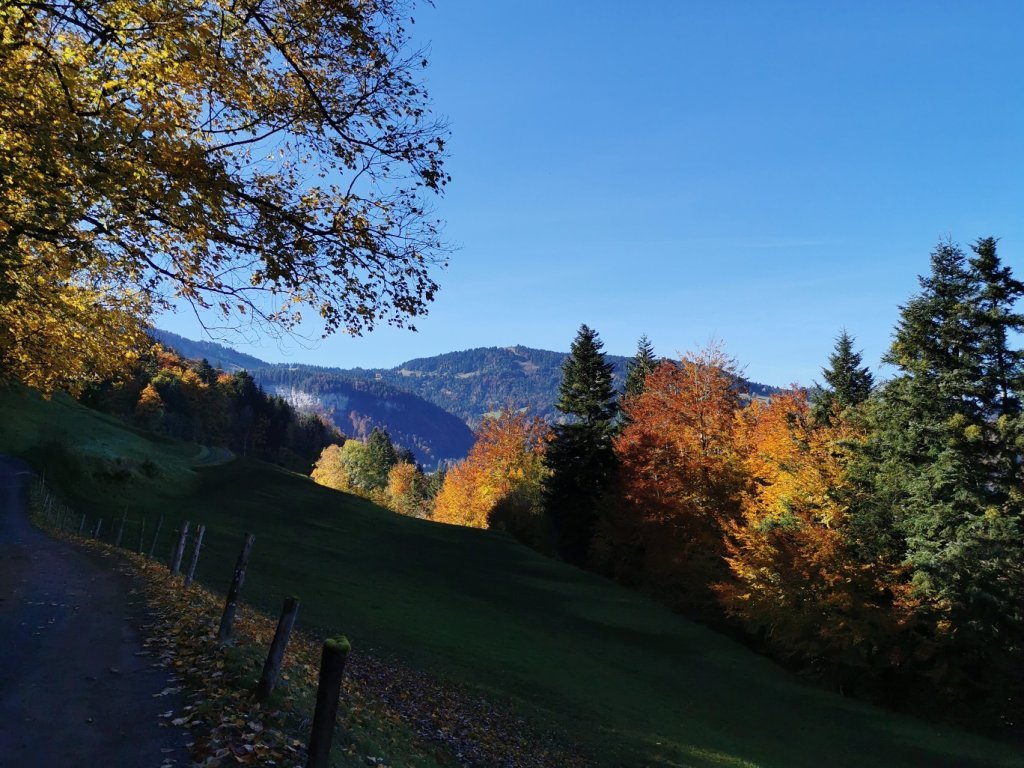 Von Andelsbuch Richtung Bezegg