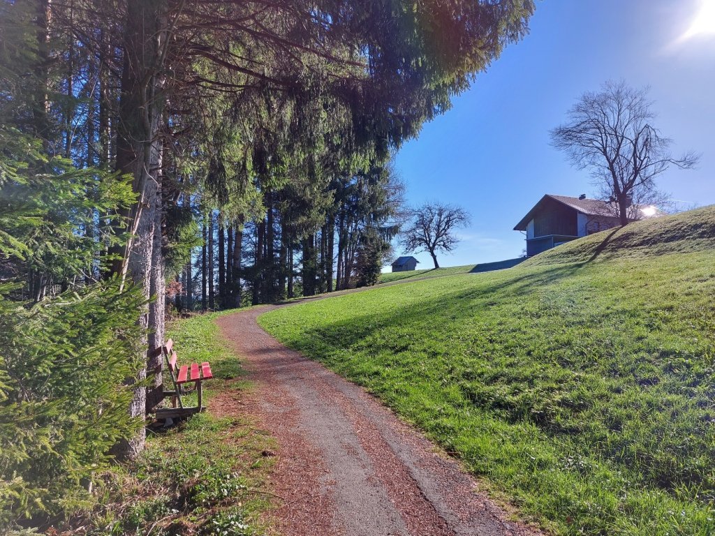 Weg Moos Richtung Nannen