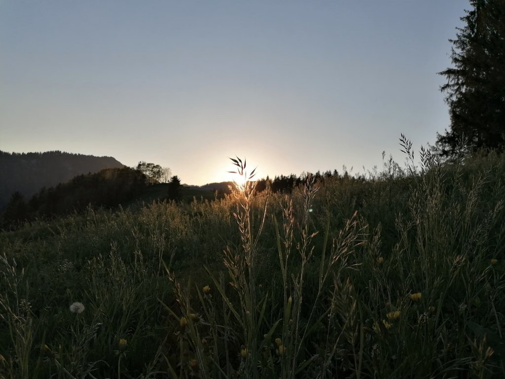 Sonnenuntergang Heugutvorsäß