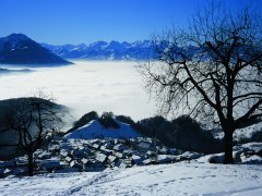 Blick auf Fraxern