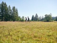 Wandern im Kojenmoos in Riefensberg