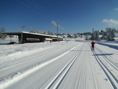 Loipe im Nordic Sport Park in Sulzberg