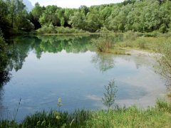 Ehemaliger Baggersee in der Alten Rüttenen