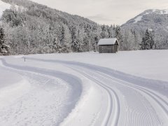 Winterwandern Richtung Enge Vorsäß in Mellau