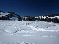 Winterwandern am Hochhäderich