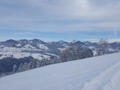 Blick von Tannen nach Langenegg