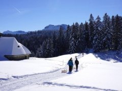 Winter in Schwarzenberg/Bödele